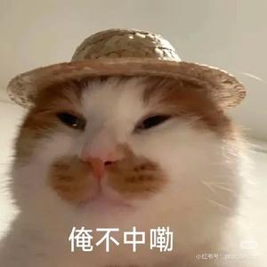 不会爱（飞轮海）.mp3