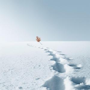 너여야만 하는 이유