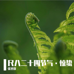 尺八二十四节气·惊蛰