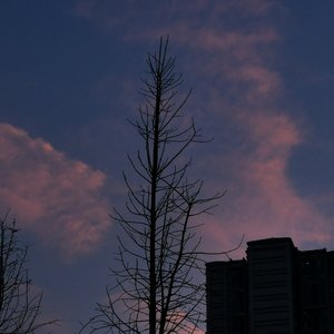 老男孩（cover）