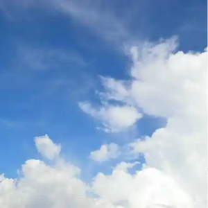 乒乒乓乓 天下无双