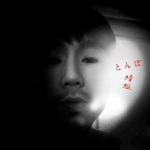 とんぼ (蜻蜓)-中日双语