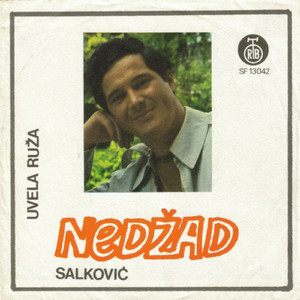 Uvela ruža
