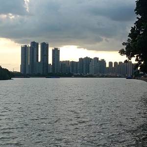 别无所求