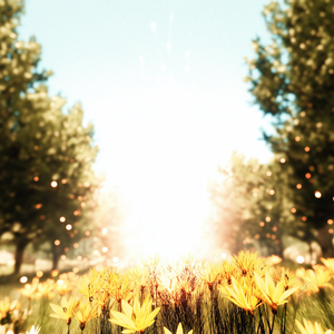 Light