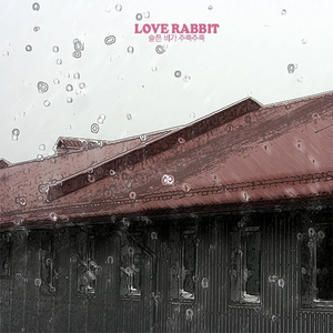 슬픈 비가 주룩주룩