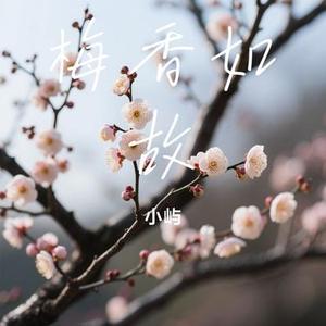 梅香如故 (Cover 周深)
