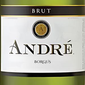 Andre Brut