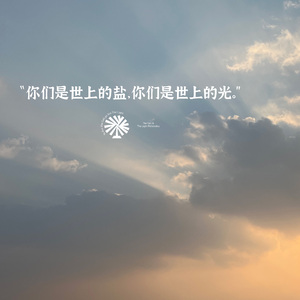 是我是我