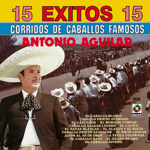El Potro Lobo Gateado (La Yegua Colora)