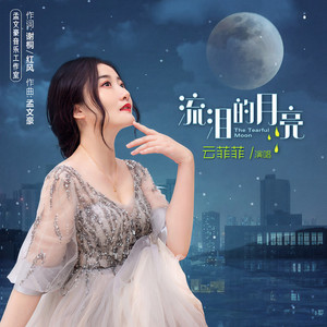 流泪的月亮 (伴奏)
