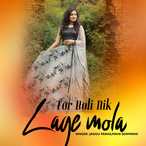 Tor Boli Nik Lage Mola