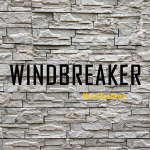 Windbreaker (Original Mix)