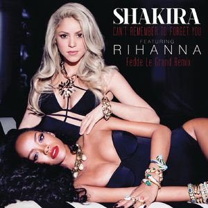 Can't Remember to Forget You (Fedde Le Grand Remix)