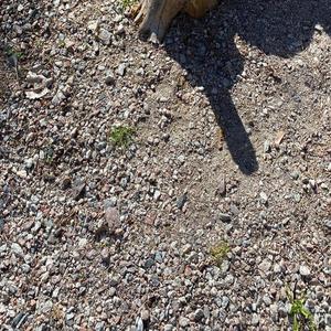 Maailma on väärillä raiteilla