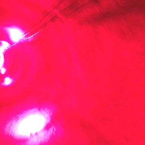 スイートガゼル