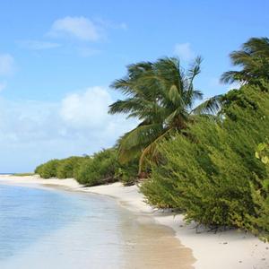 Energy is high pump up the bass