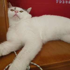 新一代 （Prod.BFCat）