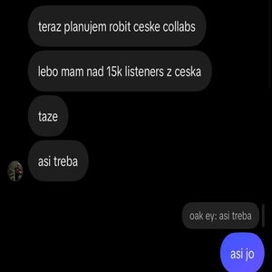 Ceske Collabs