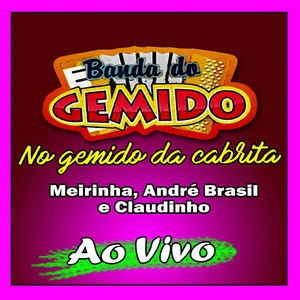 Forró do Zé Priquito - BANDA DO GEMIDO