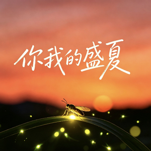 你与我的盛夏