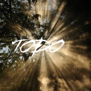 Todo