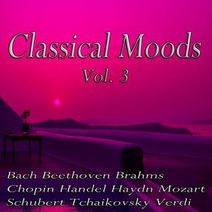 Brandenburg Concerto No. 6 in B Flat Major: III. Adagio Ma Non Troppo