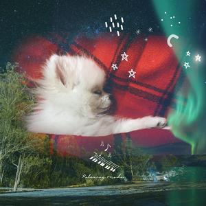 엄마품에서 푹 잠든 내 강아지