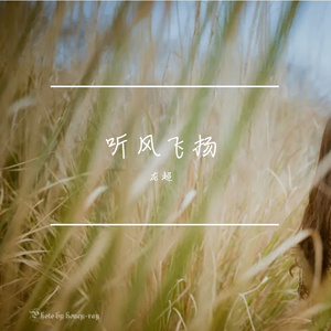 听风飞扬 音频成品
