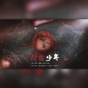 玫瑰少年