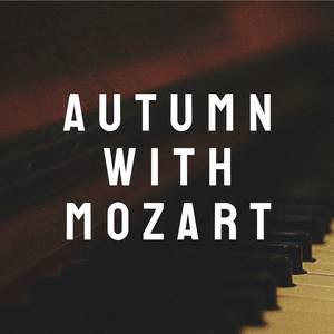 Sonata No. 16, 2nd Movement K. 545