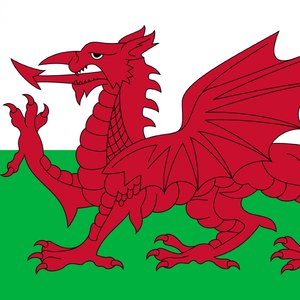 Rwy'n Hoffi Eirth Polar