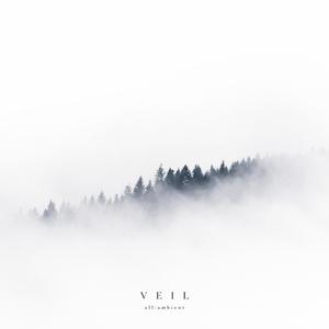 Veil