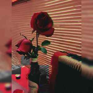 Erase Your Social（instrument）