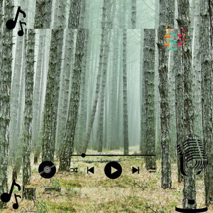 Kylzak Morvyn (Original Mix)