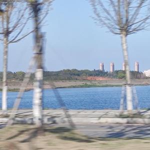 张婧-这样爱了（周星星_Ez remix）