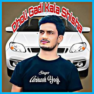 Dholi Gadi Kala Shisha