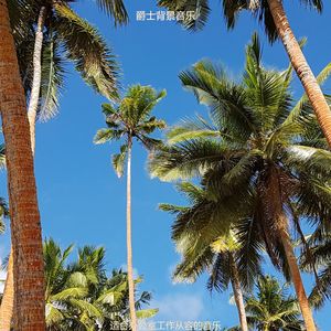 办公室工作轻快的波萨诺伐舞曲