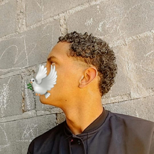 Parodia Da Poesia Acústica