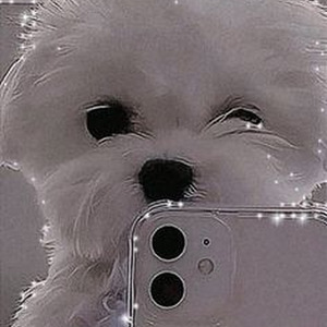 ASHLEY LOOK AT ME x TOMA TOMA