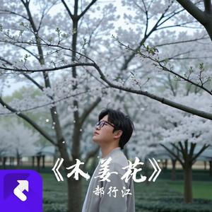 木姜花（重制版） (现场)