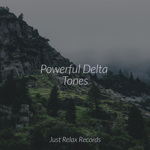 Electric Aura Celebration