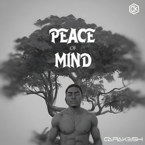 Peace of Mind