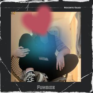 Funsize