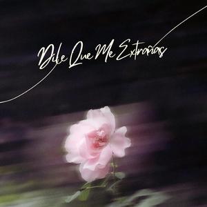 Dile Que Me Extrañas