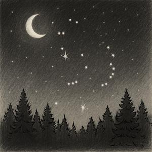 from the corner of the room