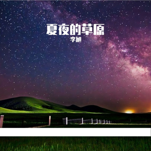夏夜的草原