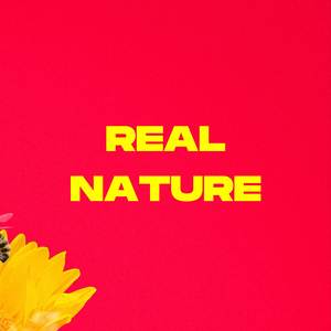 Real Nature