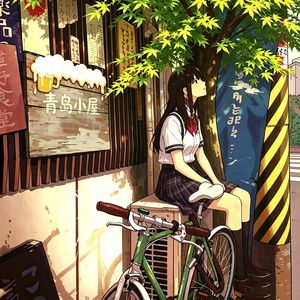 青枫