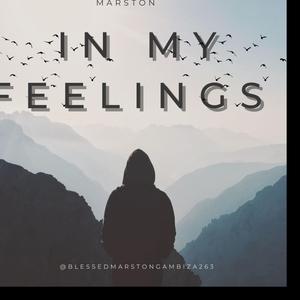 In My Feelings